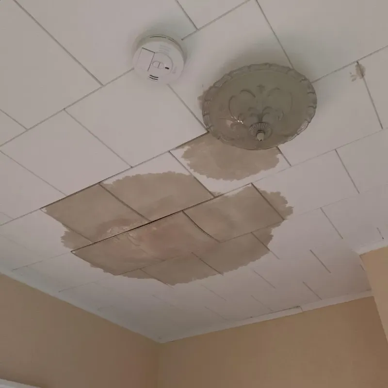 Ceiling Water Damage Repair in Polson, MT